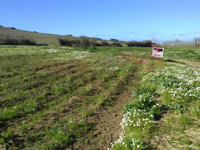Terreno para Venda em Lourinhã e Atalaia Foto 4
