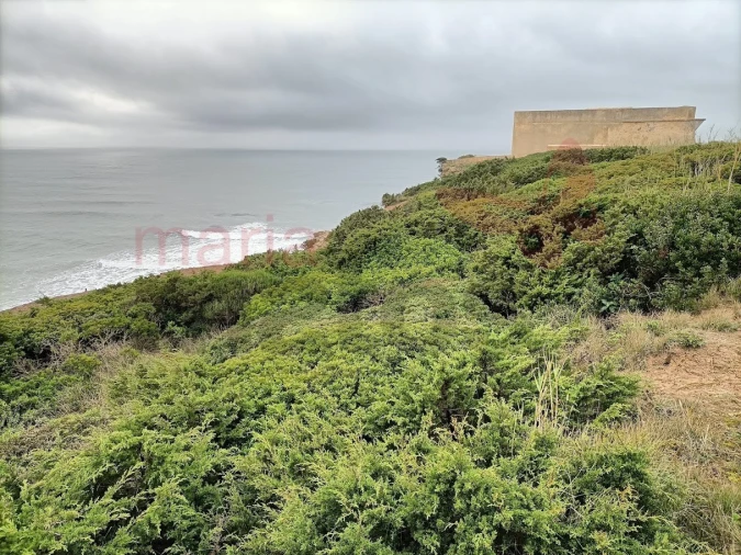 Terreno para Venda em Lourinhã e Atalaia Foto 9