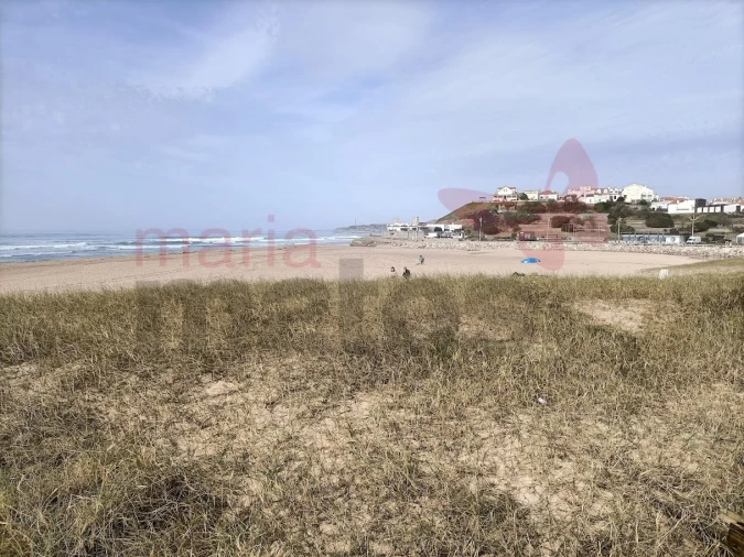 Terreno para Venda em Lourinhã e Atalaia Foto 11