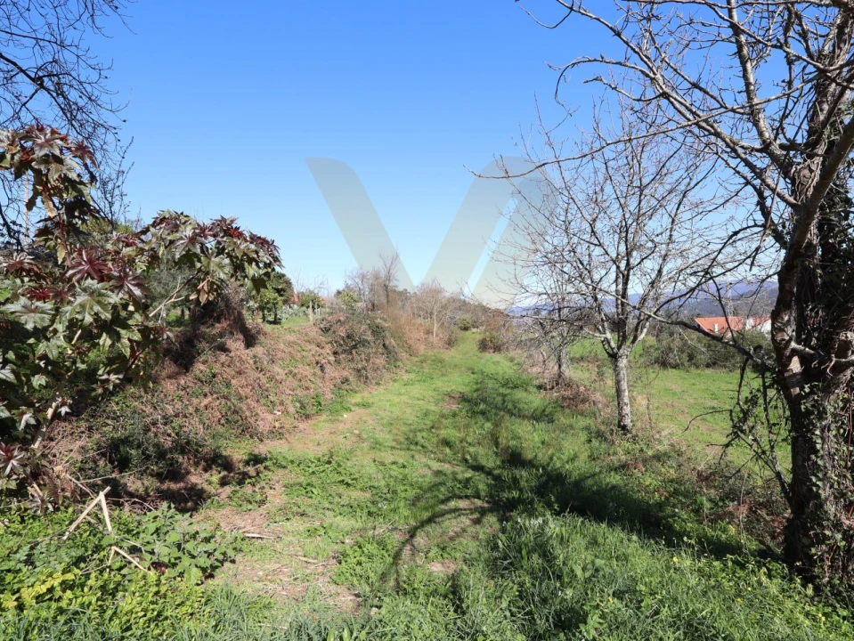 Terreno para Venda em Rebordões (Santa Maria) Foto 8
