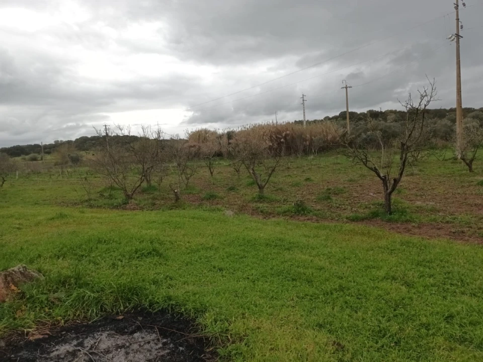 Terreno para Venda em Barbacena e Vila Fernando Foto 3