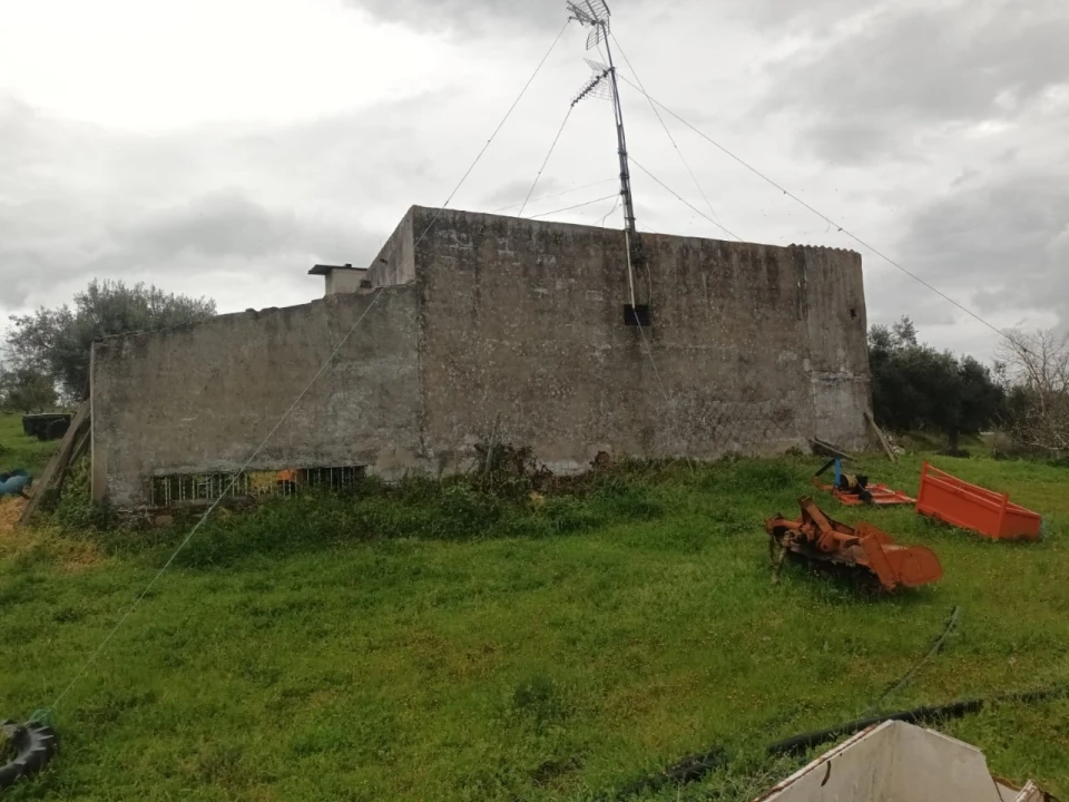 Terreno para Venda em Barbacena e Vila Fernando Foto 5