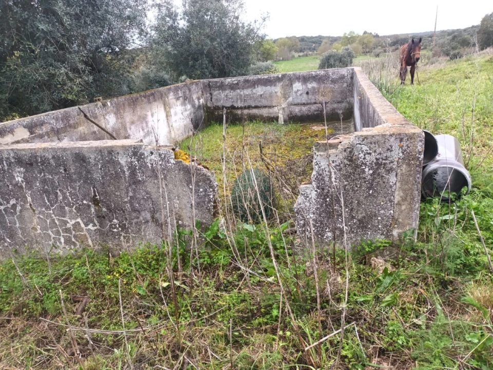 Terreno para Venda em Barbacena e Vila Fernando Foto 14