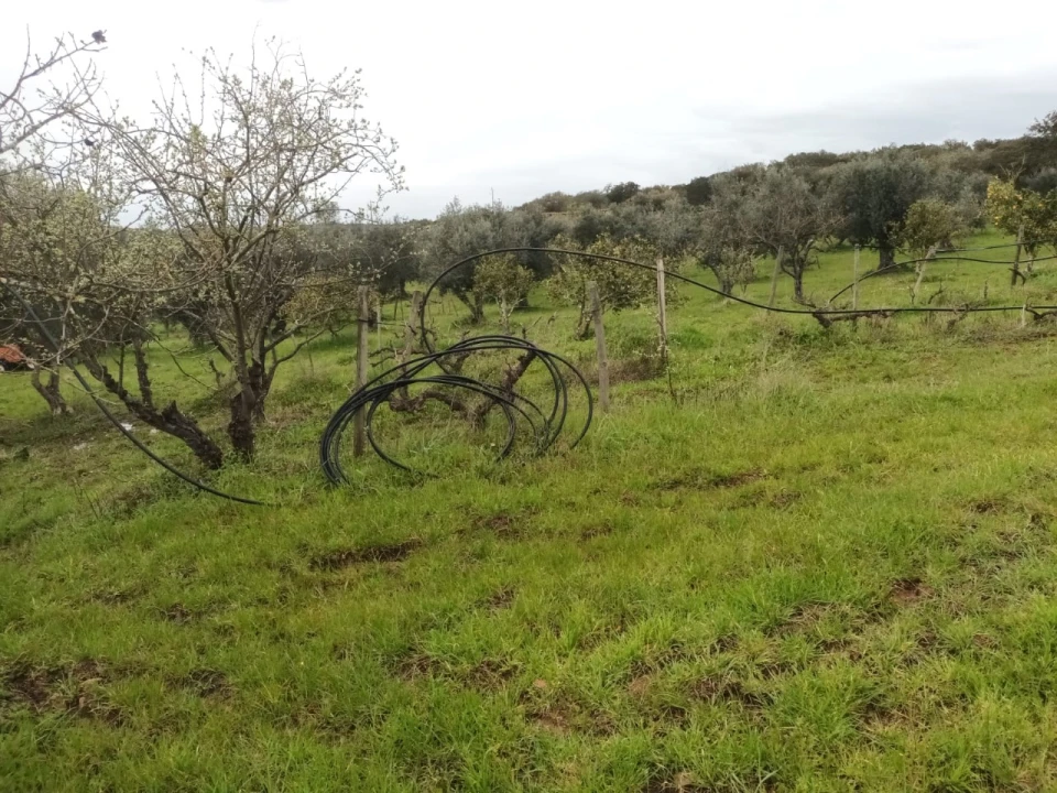 Terreno para Venda em Barbacena e Vila Fernando Foto 15
