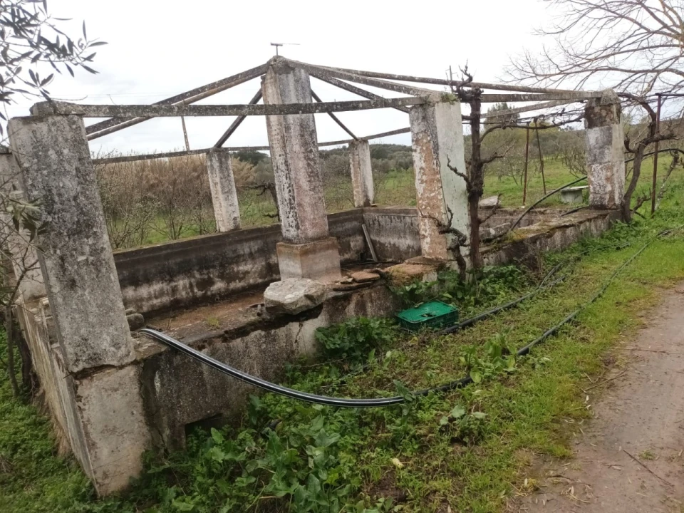 Terreno para Venda em Barbacena e Vila Fernando Foto 19