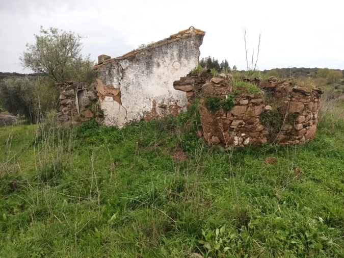 Terreno para Venda em Barbacena e Vila Fernando Foto 11
