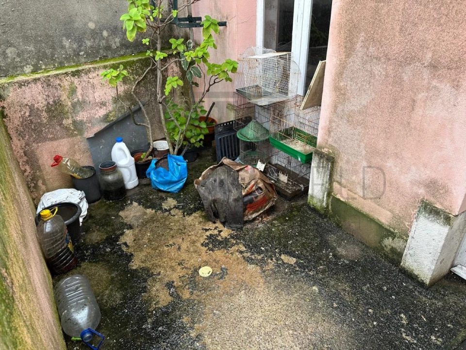 Prédio para Venda em Penha de França Foto 23