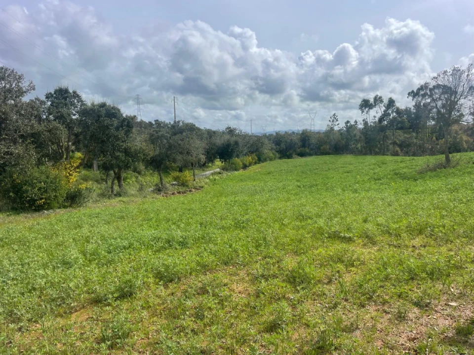 Terreno Agricola ou Rústico para Venda em Porto Covo Foto 2