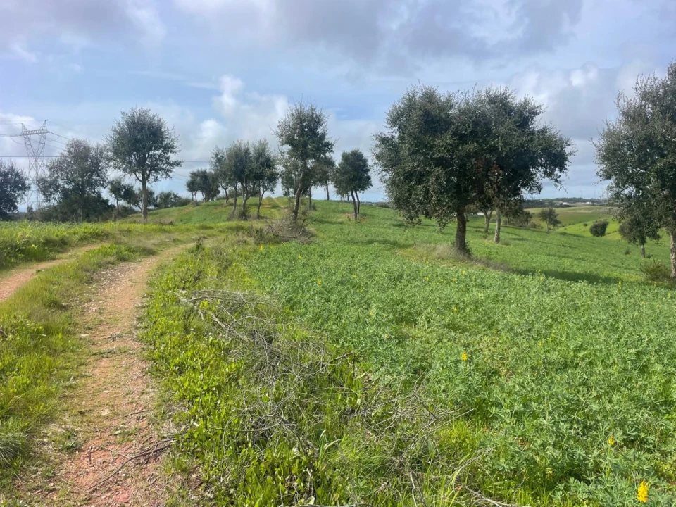 Terreno Agricola ou Rústico para Venda em Porto Covo Foto 1