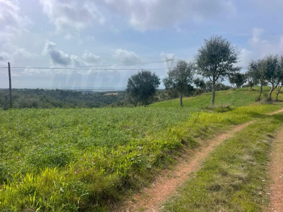 Terreno Agricola ou Rústico para Venda em Porto Covo Foto 4