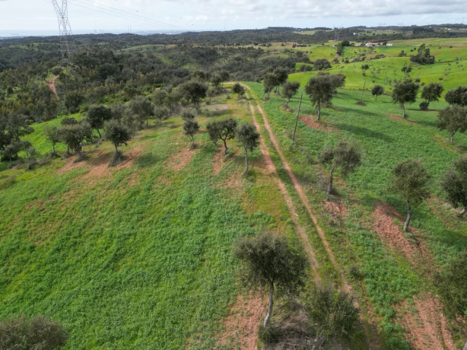 Terreno Agricola ou Rústico para Venda em Porto Covo Foto 14