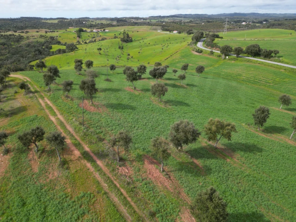 Terreno Agricola ou Rústico para Venda em Porto Covo Foto 18