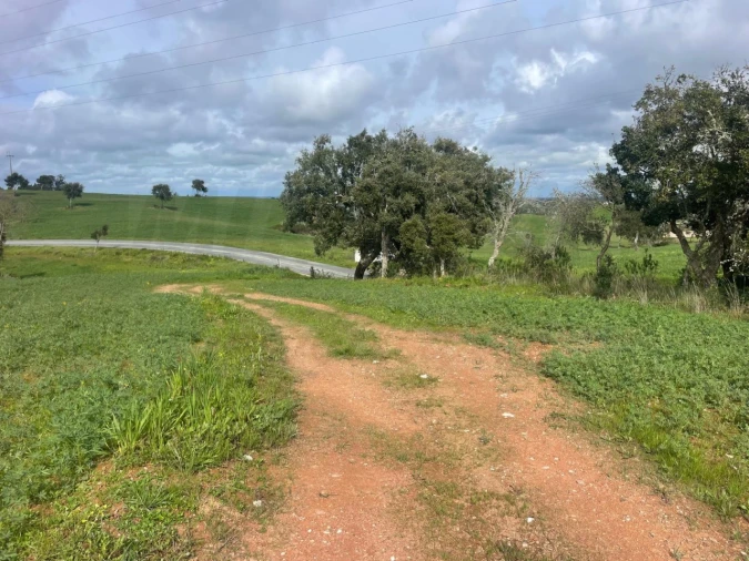 Terreno Agricola ou Rústico para Venda em Porto Covo Foto 3