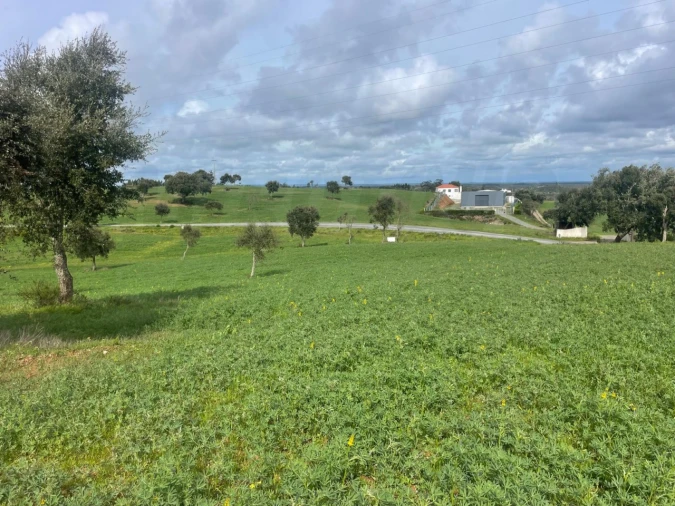 Terreno Agricola ou Rústico para Venda em Porto Covo Foto 6