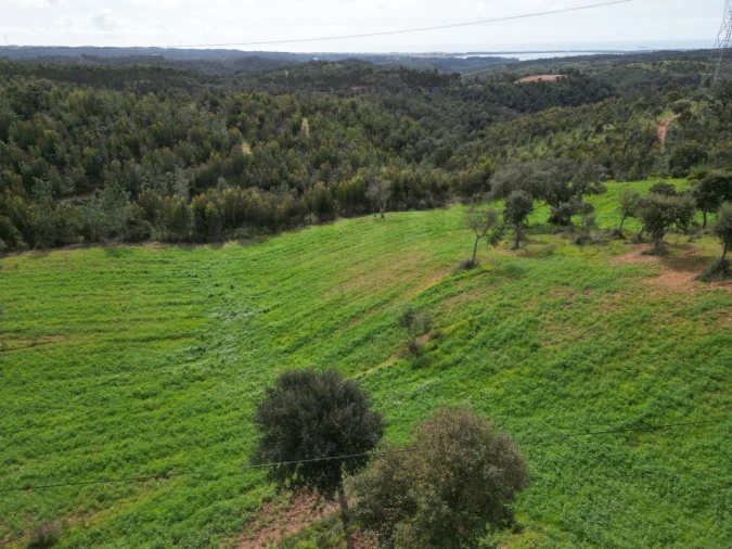 Terreno Agricola ou Rústico para Venda em Porto Covo Foto 15