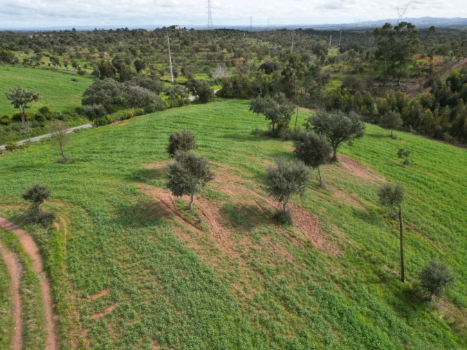 Terreno Agricola ou Rústico para Venda em Porto Covo Foto 16