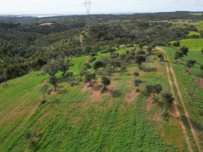 Terreno Agricola ou Rústico para Venda em Porto Covo Foto 17