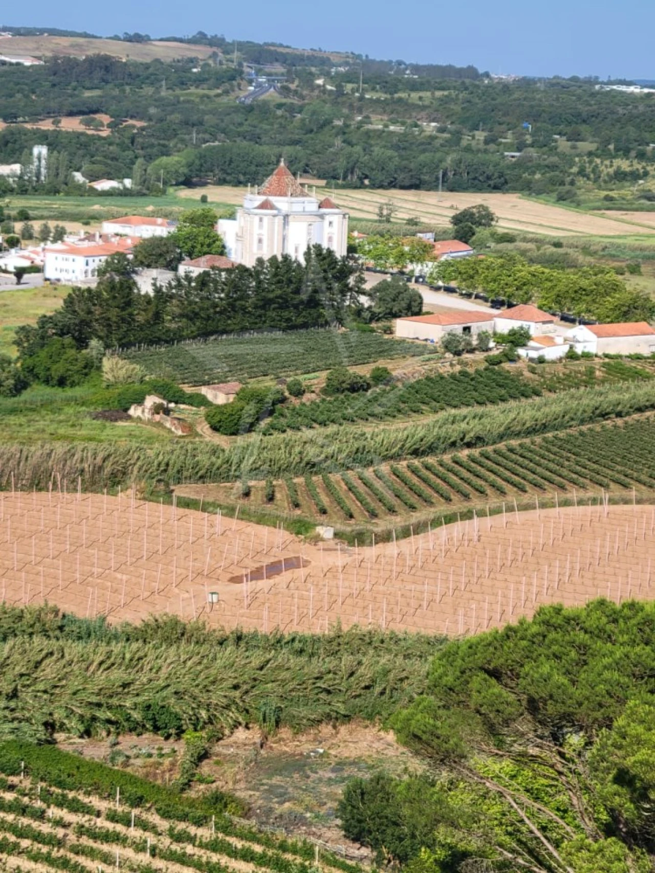Terreno para Venda em Gaeiras Foto 17