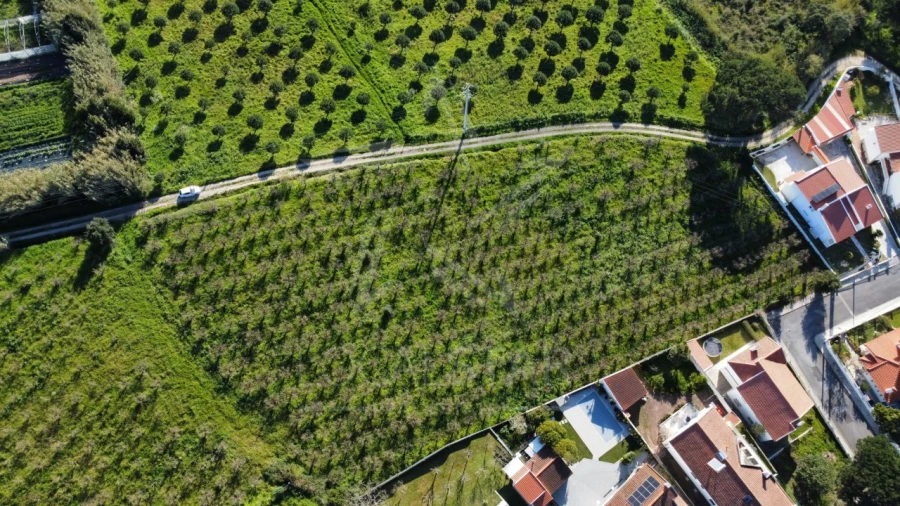 Terreno para Venda em Gaeiras Foto 3