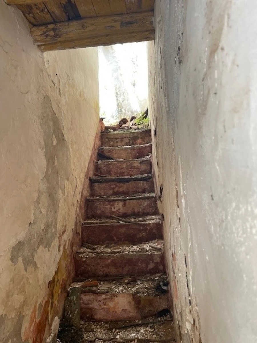 Terreno para Venda em Alter do Chão Foto 3