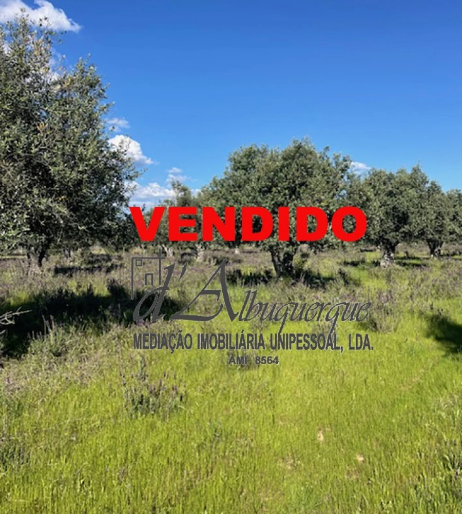 Terreno Agricola ou Rústico para Venda em Ponte de Sor, Tramaga e Vale de Açor