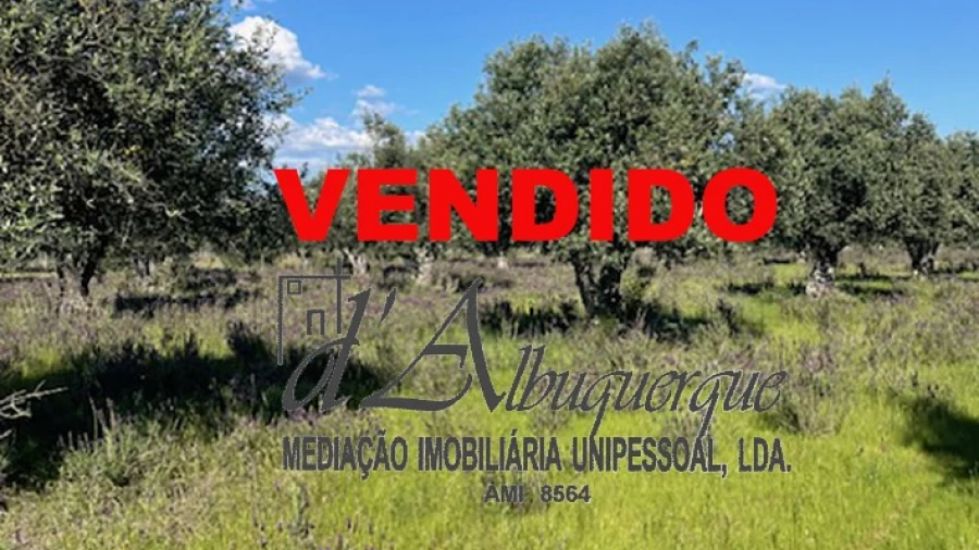 Imagem imóvel