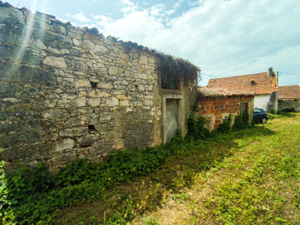 Quinta para Venda em Aljubarrota Foto 11