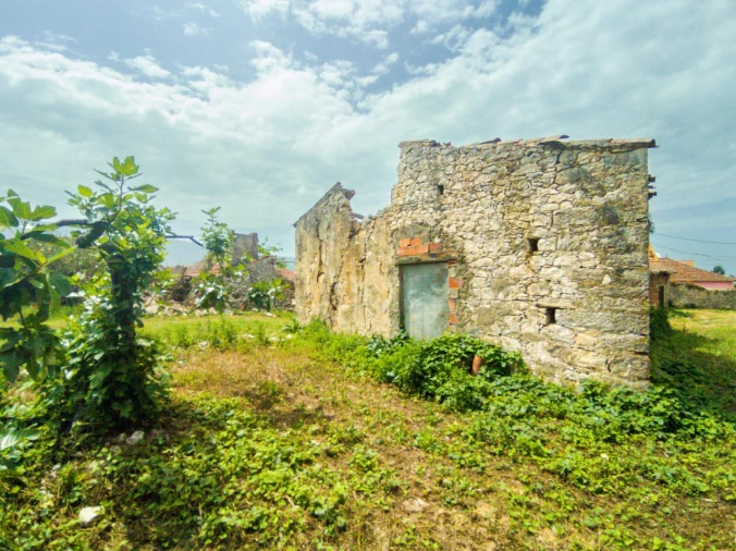 Quinta para Venda em Aljubarrota Foto 9