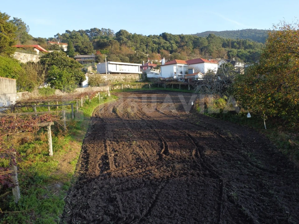 Terreno para Venda em Ancora Foto 11