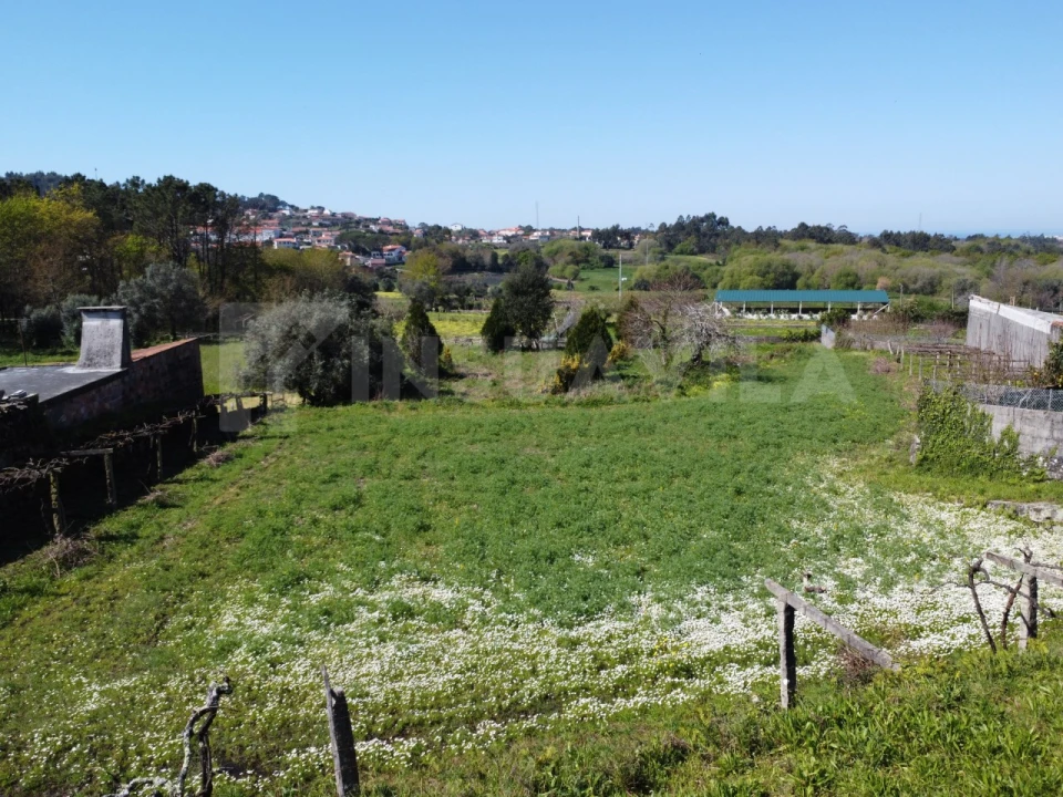 Terreno para Venda em Ancora Foto 1