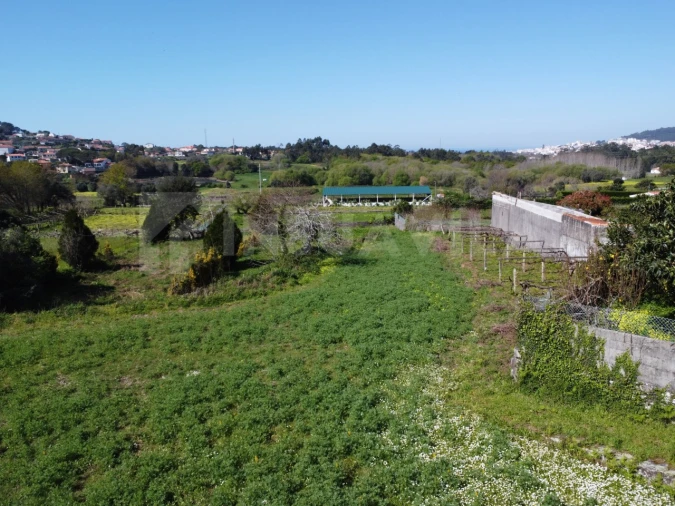 Terreno para Venda em Ancora Foto 6