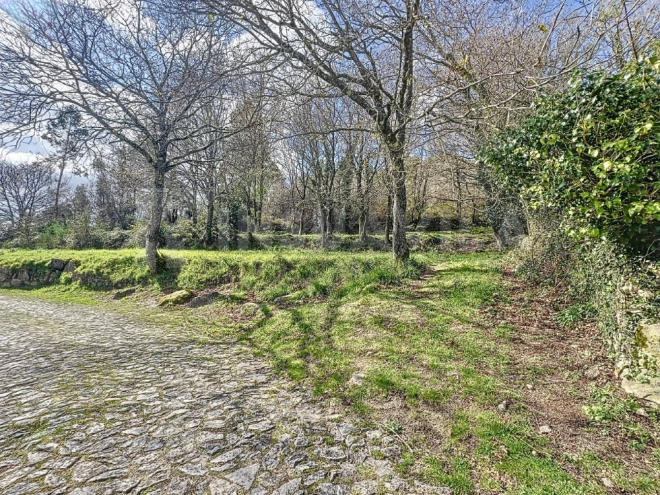 Moradia T4 para Venda em Sopo Foto 40