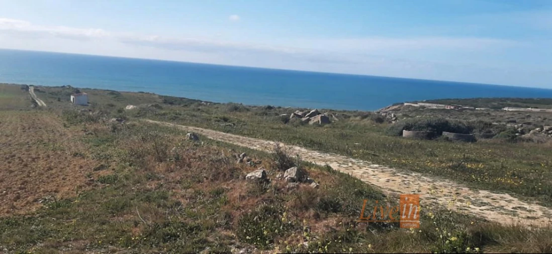 Terreno Agricola ou Rústico para Venda em São João das Lampas e Terrugem Foto 2