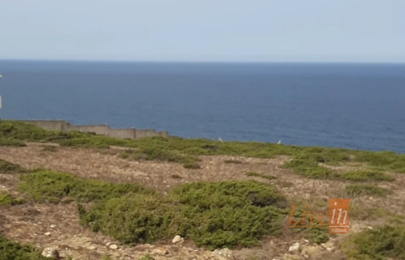 Terreno Agricola ou Rústico para Venda em São João das Lampas e Terrugem Foto 3