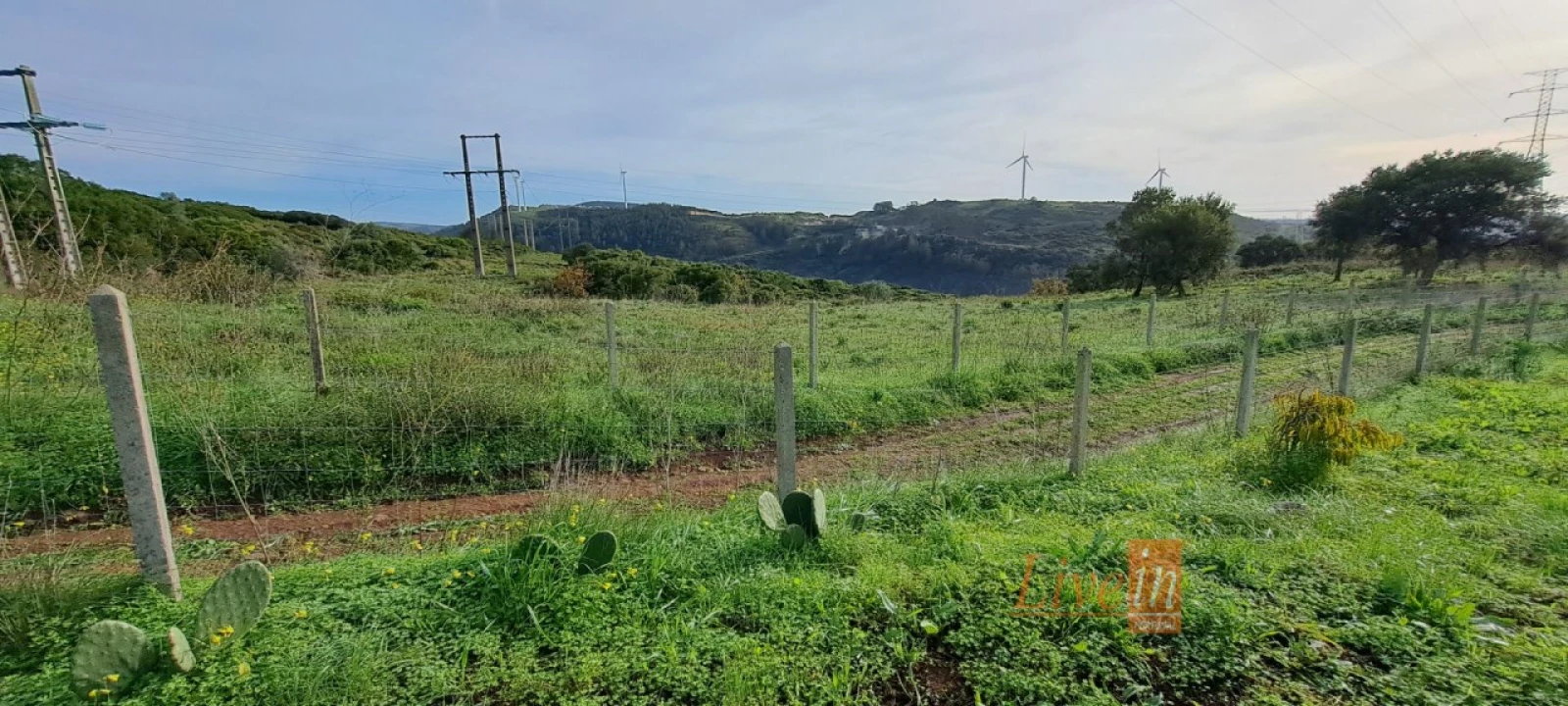 Terreno Agricola ou Rústico para Venda em Fanhões Foto 1