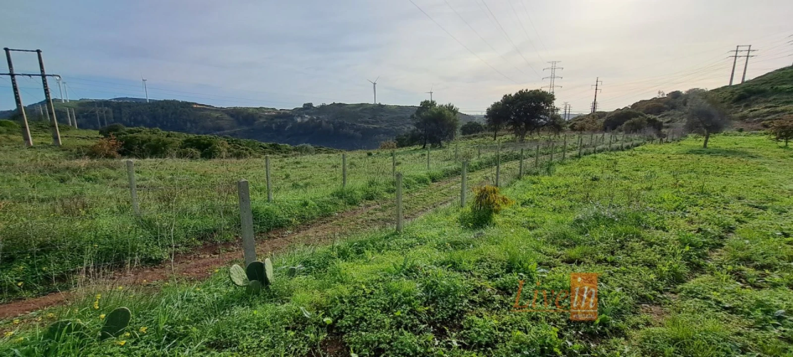 Terreno Agricola ou Rústico para Venda em Fanhões Foto 2