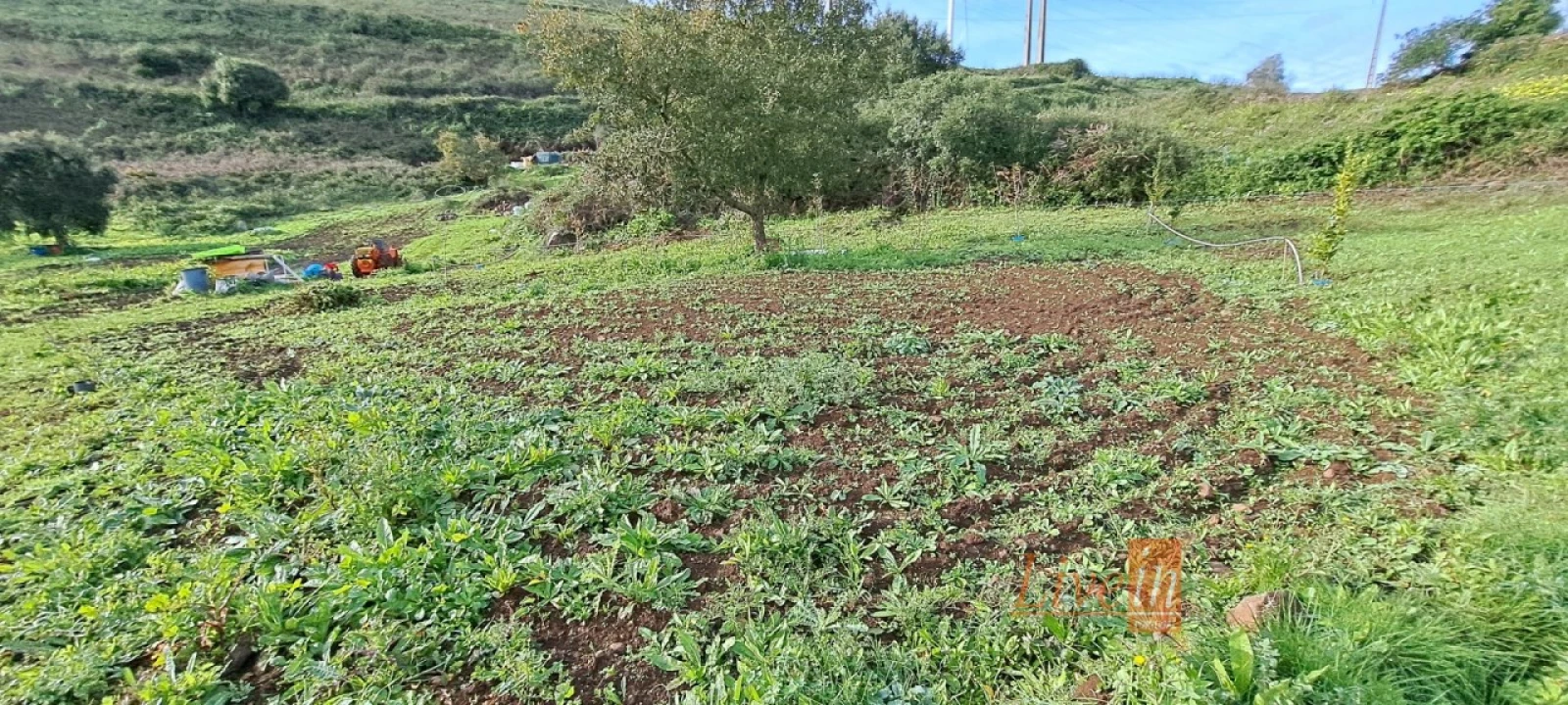 Terreno Agricola ou Rústico para Venda em Fanhões Foto 6