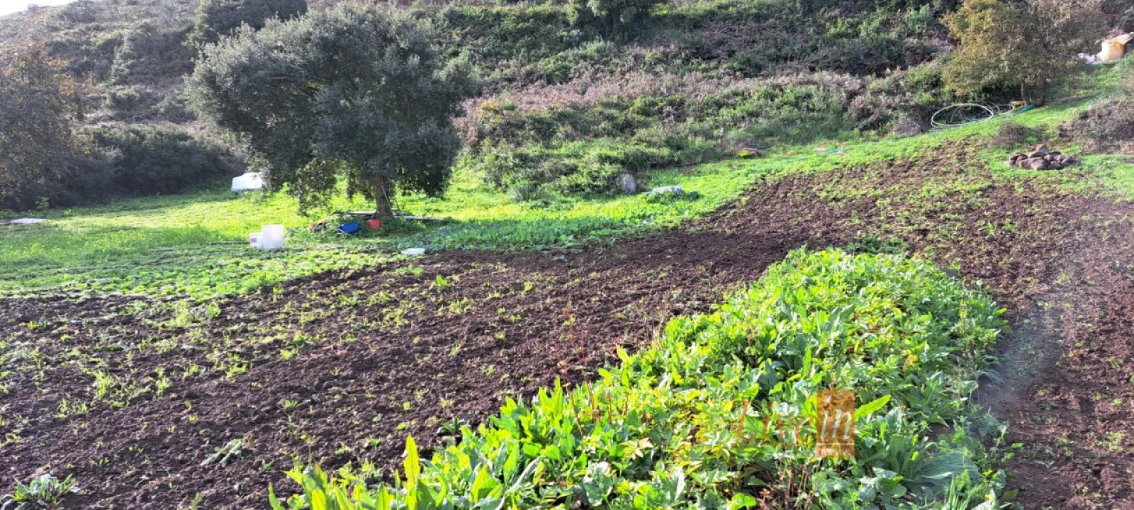 Terreno Agricola ou Rústico para Venda em Fanhões Foto 14