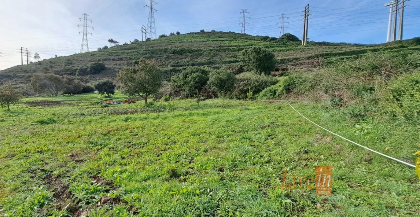 Terreno Agricola ou Rústico para Venda em Fanhões Foto 5