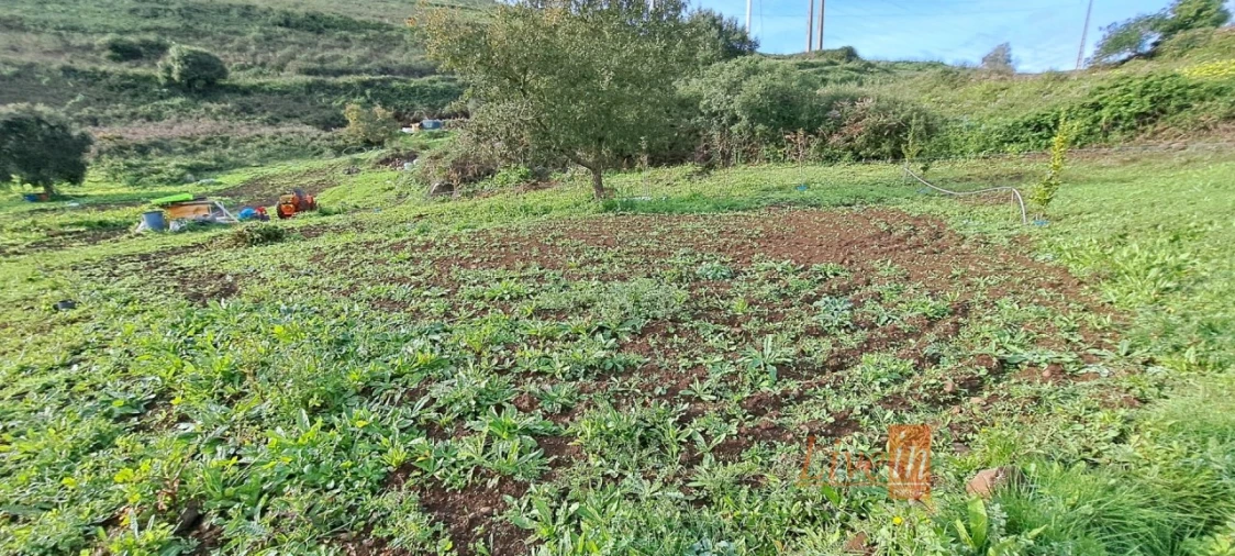 Terreno Agricola ou Rústico para Venda em Fanhões Foto 6
