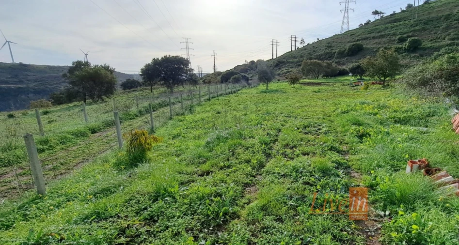 Terreno Agricola ou Rústico para Venda em Fanhões Foto 3