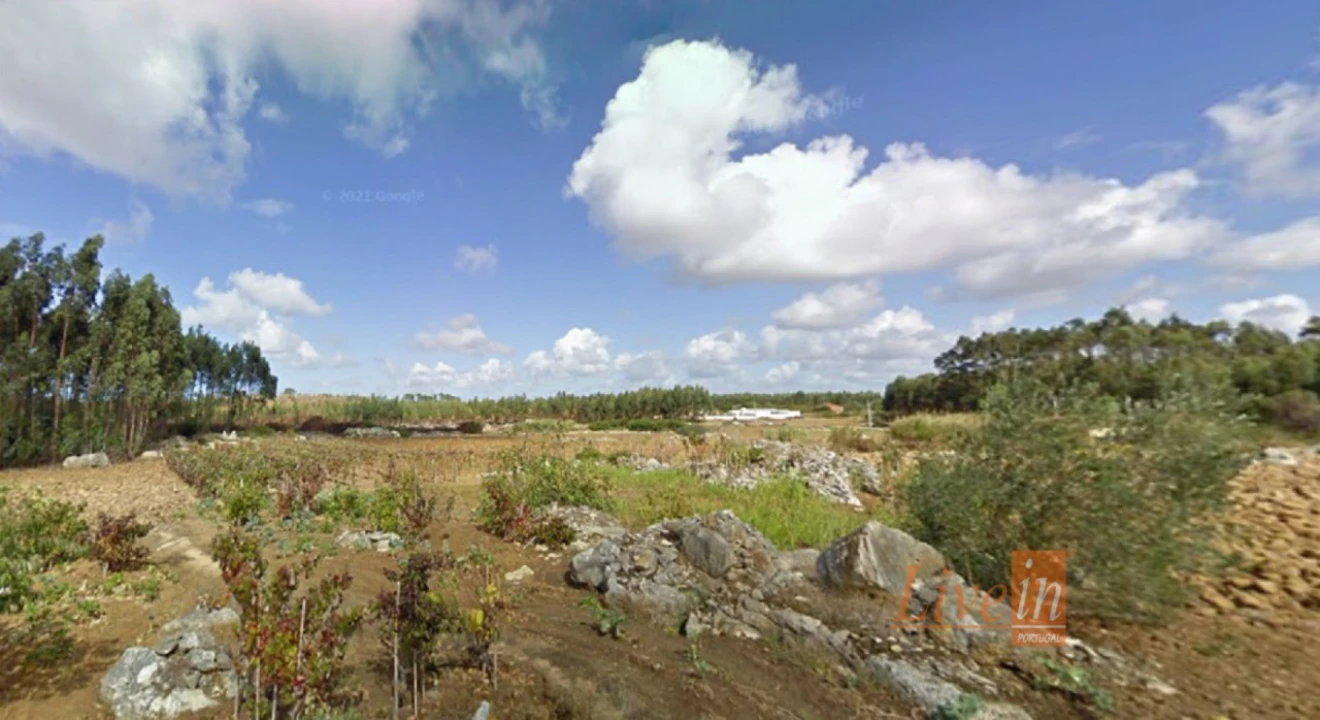 Terreno Agricola ou Rústico para Venda em São Bartolomeu dos Galegos e Moledo Foto 1