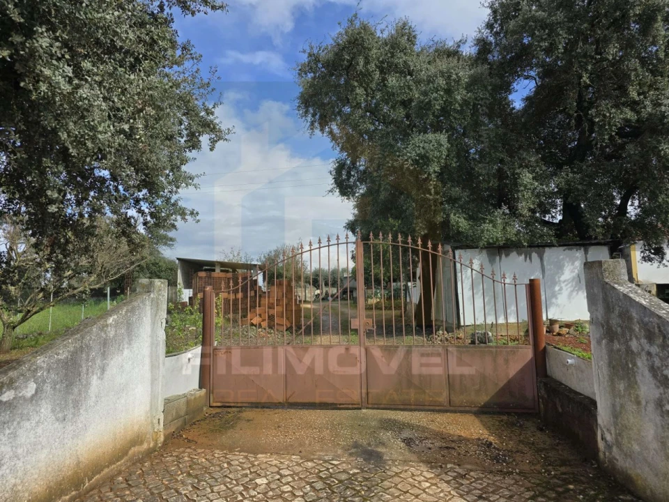 Armazém para Venda em Alcanena e Vila Moreira Foto 1