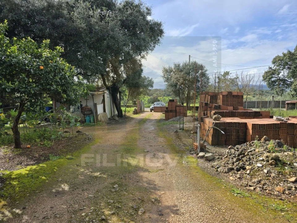 Armazém para Venda em Alcanena e Vila Moreira Foto 3