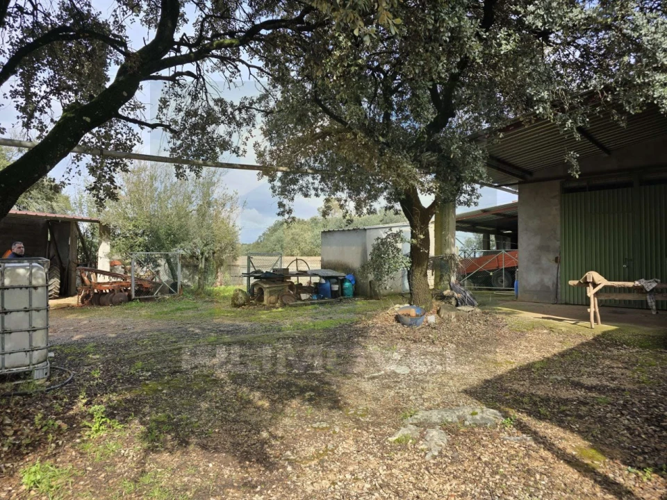 Armazém para Venda em Alcanena e Vila Moreira Foto 4