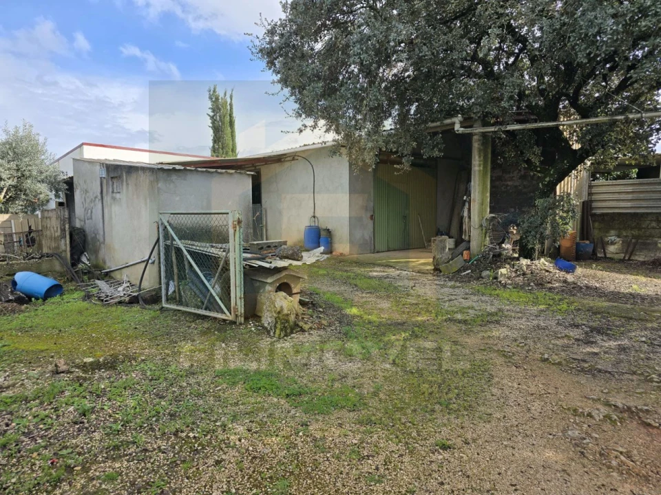 Armazém para Venda em Alcanena e Vila Moreira Foto 5