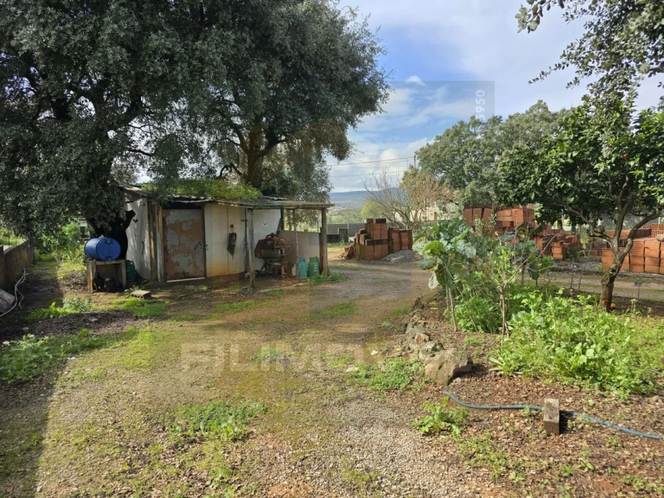 Armazém para Venda em Alcanena e Vila Moreira Foto 6
