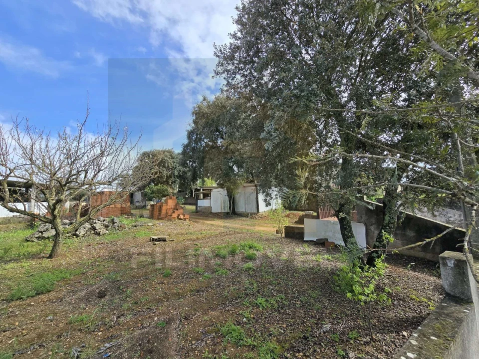 Armazém para Venda em Alcanena e Vila Moreira Foto 7