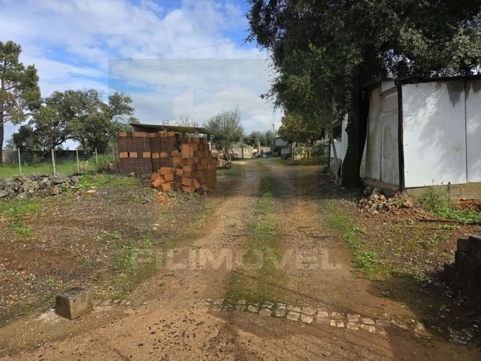 Armazém para Venda em Alcanena e Vila Moreira Foto 9