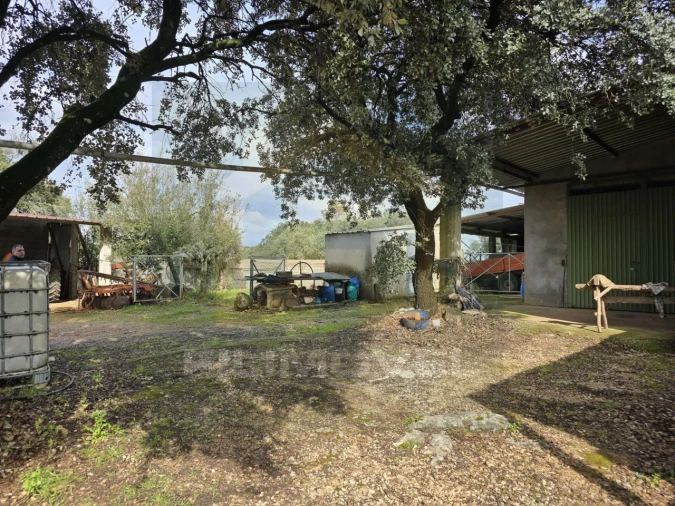 Armazém para Venda em Alcanena e Vila Moreira Foto 4